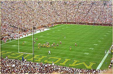 gameview.jpg (33976 bytes)